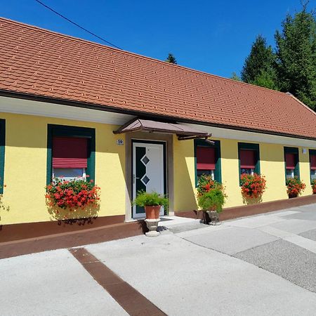 Hotel Pri Belokranjcu Νόβο Μέστο Εξωτερικό φωτογραφία